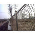 Low Carbon Steel Wire With PVC Coated Chain Link Fence Mesh